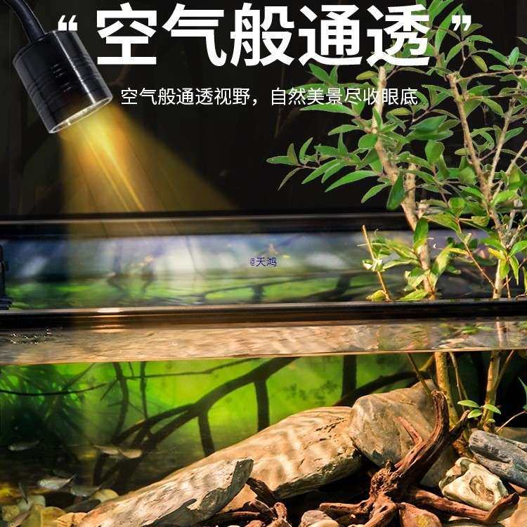 面桌超白流玻璃南美风溪造景客厅小型鱼龟养生态新款鱼缸10011048,鲜花速递/花卉仿真/绿植园艺,其它园艺用品,淘宝优惠券,粉丝福利购,淘宝优惠卷