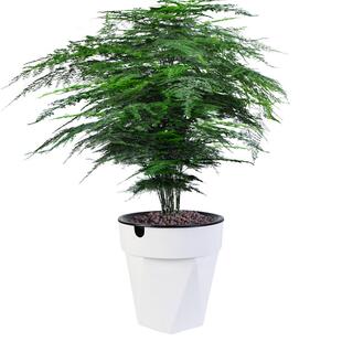 绿萝花盆简约落地客厅特大号花盆懒人家用塑料花盆 自动吸水特大款