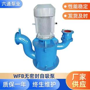 316 自吸泵304 无密封自吸泵厂家 立式 WFB型无密封自控自吸泵