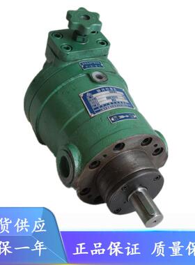 上海申福10/25/40/63/80/100/160/250/400PCY14-1B柱塞泵cy系列