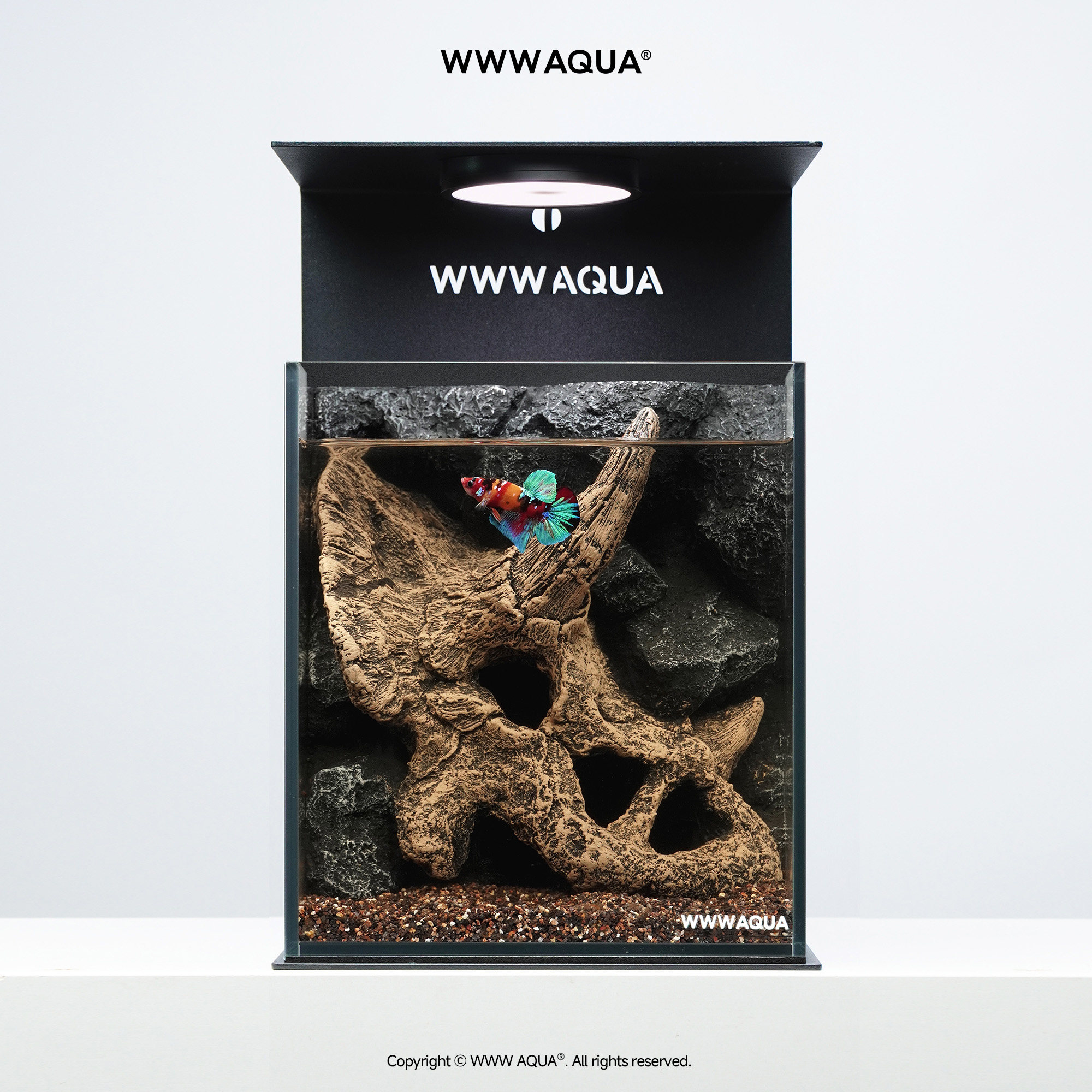 WWWAQUA古化石系列三角龙家居潮玩桌面斗鱼背滤一体景观造景鱼缸
