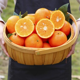 【基地严选W318】云南高原沃柑新鲜水果多规格-伟
