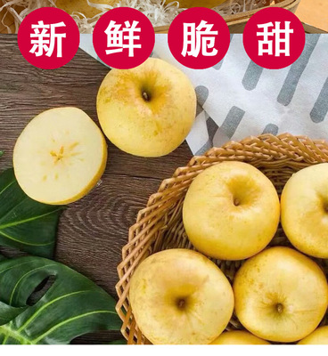 山东维纳斯黄金苹果纯甜果香浓郁风味独特4.5斤 整箱包邮