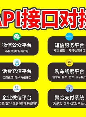 api接口对接开发定制三方接口源码二次开发网站商城源码定制开发