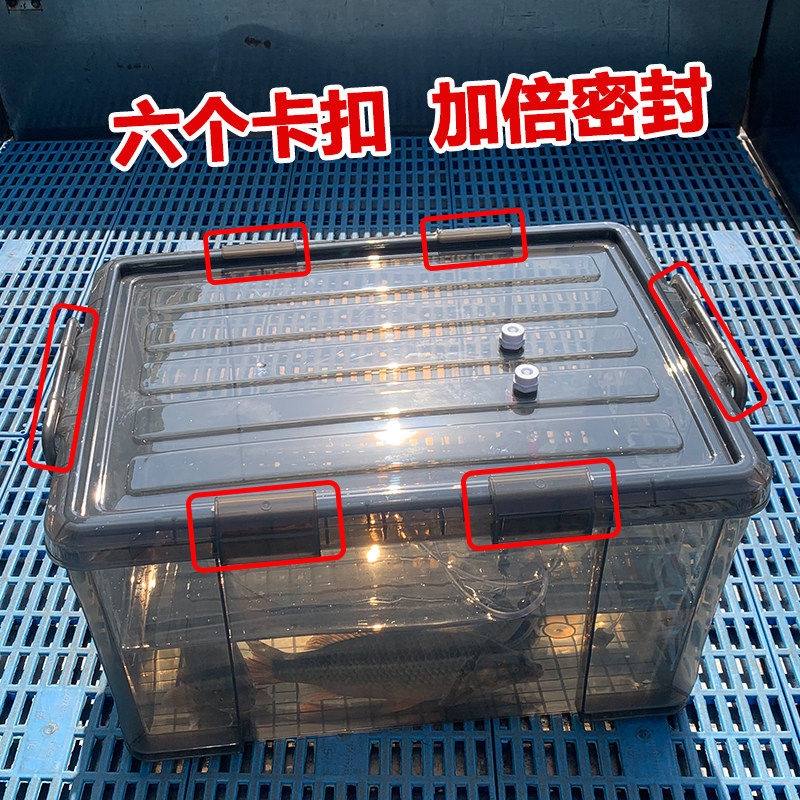 汽车黑坑野钓塑料活鱼桶加厚大号装鱼箱可接氧泵防漏水密封钓鱼箱
