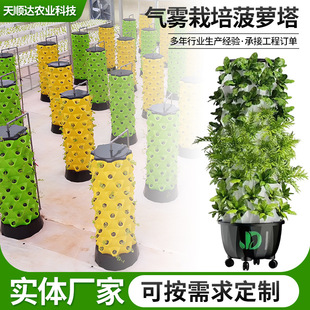 立式水培种植机家庭楼顶阳台重小白菜香菜菠萝塔气雾栽培模式