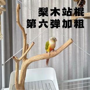 还不错的鹦鹉野梨木黄梨木原木站棍0711(001-055)