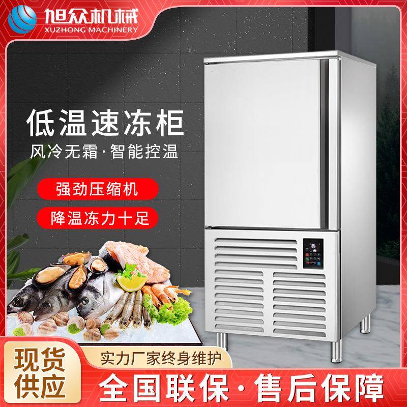 商用小型速冻柜 厨房包子饺子海鲜冷藏急冻冷冻柜-40°速冻柜