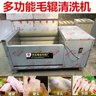 猪头猪蹄清洗机羊头羊蹄牛头牛蹄去黑清洗机耳朵尾巴生蚝清洗机
