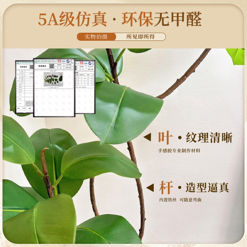 假绿植装饰仿真室内盆栽大型落地摆件客厅轻奢防真绿色植物黑金刚
