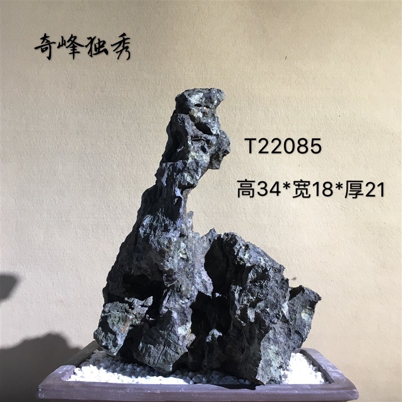 开槽盆景附石英德石树抱石条摆件造型造景配景观赏天然原石真石头