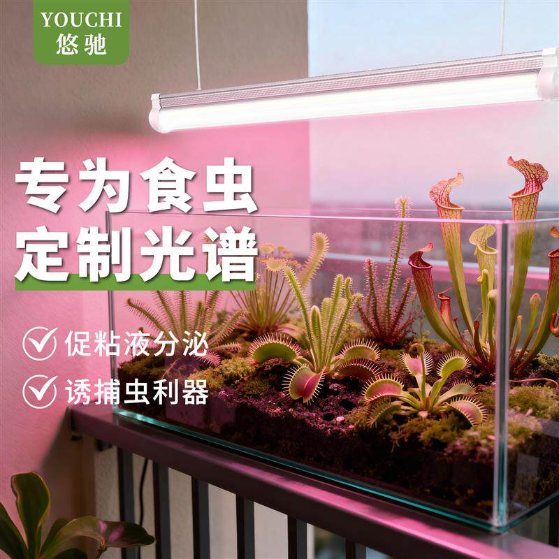 植物补光灯仿太阳全光谱食虫草专用室内生长灯绿植家用阳台长条灯
