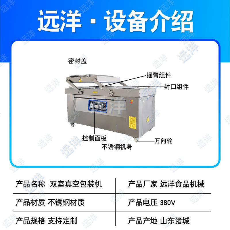 粽子双室真空包装机生鲜熟食真空食品包装机米砖干湿两用封口机