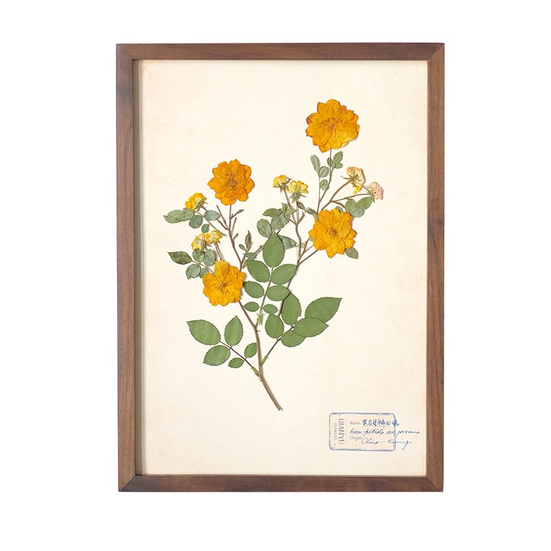 红玫瑰花植物标本装饰画标本画礼物胡桃木干花相框中古简约风格