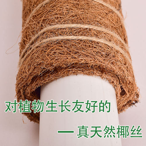 拼接大叶绿萝专用椰棕棒 攀爬植物支撑杆绿植园艺花架 天然椰丝棕
