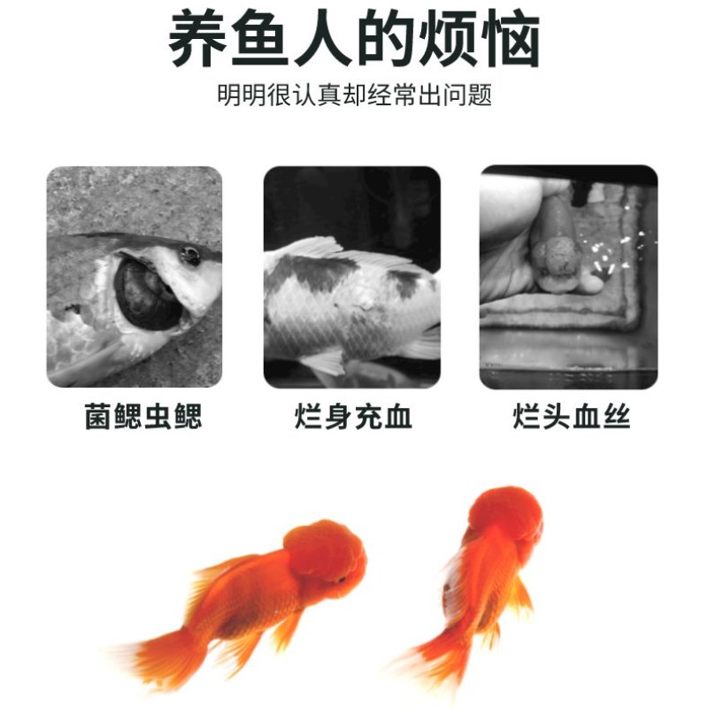 水族观赏鱼缸鱼池专用鱼菌清菌鳃虫鳃烂头烂身烂尾烂鳍充血非鱼药