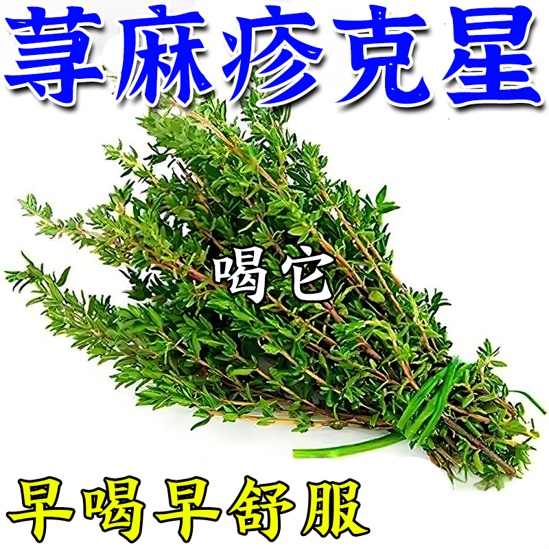 寻荨麻疹过敏止断痒根茶增强免疫力风团划痕性皮肤中草药肤康茶