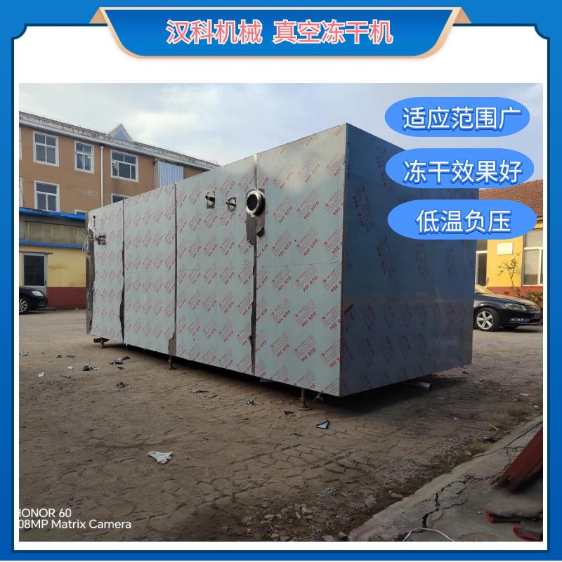 FD-50㎡真空冻干机草莓芒果低温干燥设备蛋白粉真空干燥机