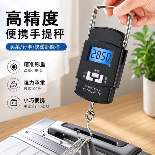 高精度手提电子秤家用迷你弹簧秤