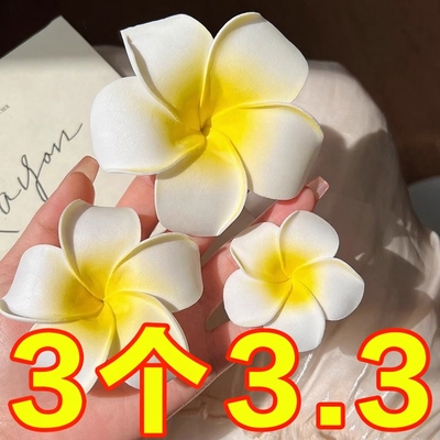 傣族装扮海边度假鸡蛋花发夹旅游