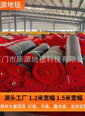 加密pvc丝圈毯喷丝34580卷材汽车地脚垫入通用户门口垫滑防垫玄关