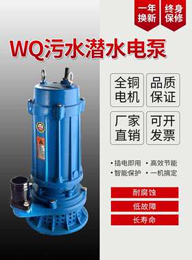 水泵220v三相小型用抽扬粪泥浆排污农用抽水机家380V污JEG高程潜