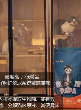 BUL0EPAPA豆腐猫砂10kg舍线下门店原猫味2斤装除臭高品质猫砂