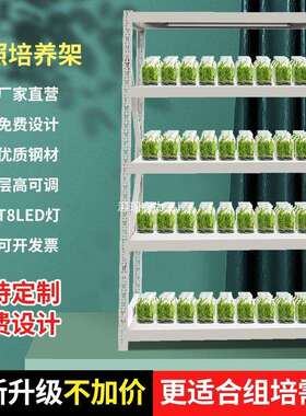 led灯植物组培架冷钢轧货架实验KEE室育苗培养架带不锈光钢照