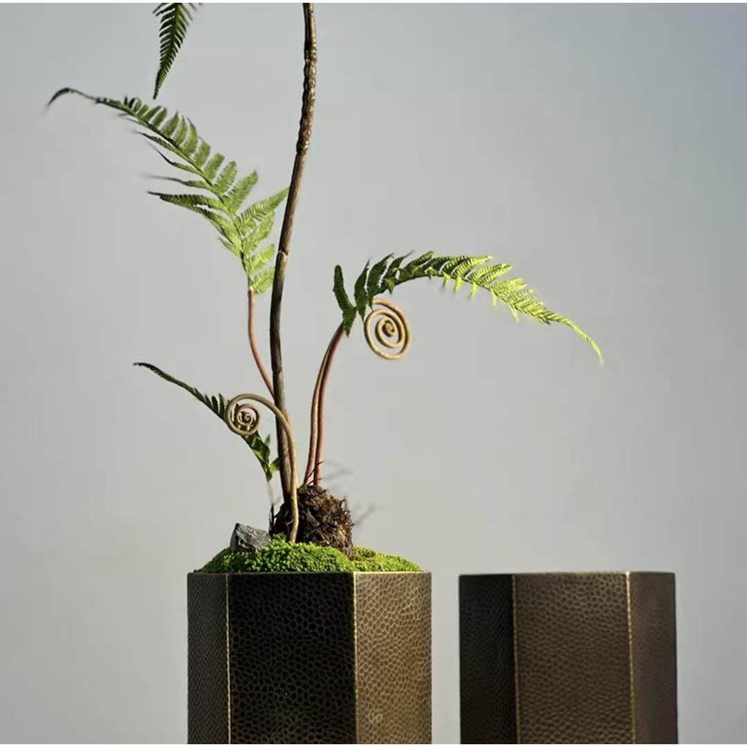 中式禅藓意永生苔狗毛蕨类绿植手工器铜大SPJ堂厅玄关茶客几吧台