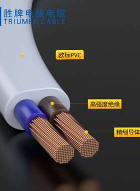 欧规VDE电源线H0V2-F多芯PVC护套线芯扁护套线2胜牌QXK电线HV厂家