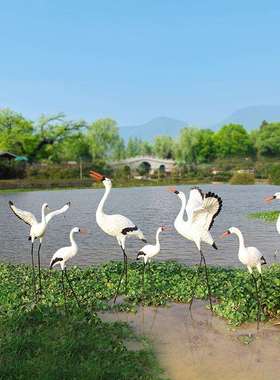 户外仿真仙鹤摆白园鹭玻璃钢塑2051水鸟水鸟件花雕水池造景公园林