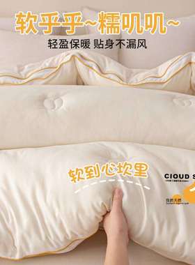 大豆纤子维母被二合一拉链LISHENG2款四季通用被子单人春舍秋被芯