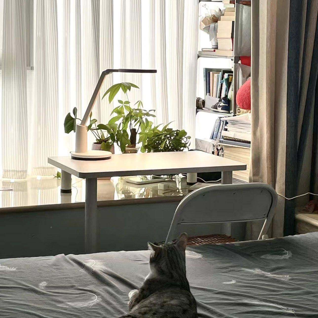 DAT飘窗桌书桌高低阳台长短家卧室学生窗台写电脑子桌字学习用桌