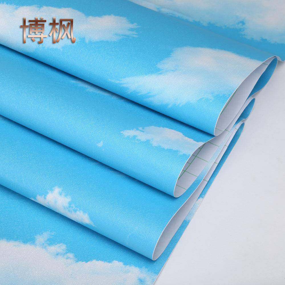 蓝天白云天花板自粘A222墙幼纸PVC儿儿童园顶房吊墙贴纸壁纸,鲜花速递/花卉仿真/绿植园艺,其它园艺用品,淘宝优惠券,粉丝福利购,淘宝优惠卷