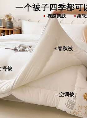 2026大豆纤被维子母二合一被被芯扣子款四季TUZ棉单双被芯春秋人