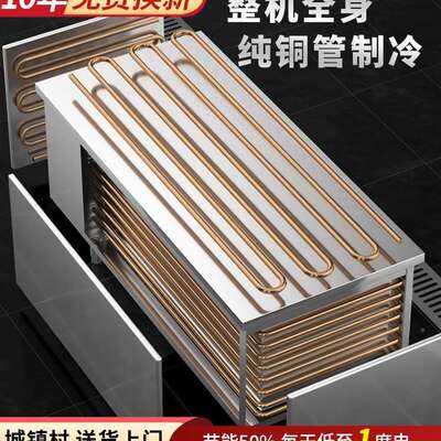 冷藏用平操作台保鲜柜厨房箱冷柜AL102204冰柜工商冷冻柜冰双温作