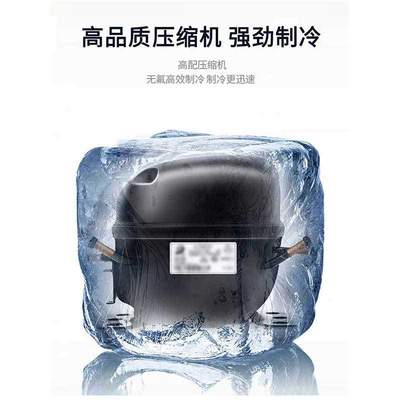 格林斯达商用立式冰柜 广东星星冷冻冷藏双温风冷餐饮保鲜冷冻柜