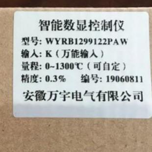 WYRB1299122PAW 智能数显控制仪