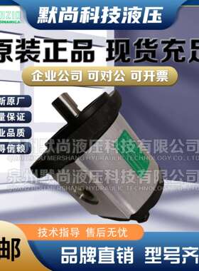 意大利罗茨RONZIO齿轮泵01ZAG08/11/16/21/26/32/37/42/48/55C408