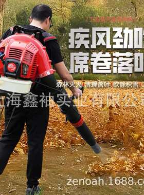 凯姿（KAZZ）KZ990F背负式二冲程汽油大功率风力灭火机吹树叶风机