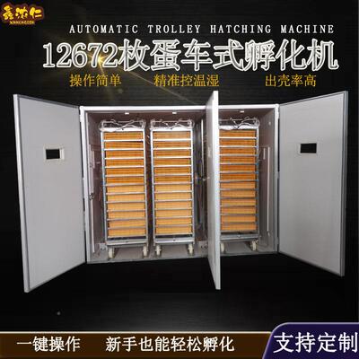 全自动蛋孵化n机大型小鸡孵蛋器icubator大GQT型式智能车孵化器