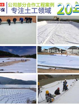 合土工膜沼气池蓄水复池化工厂用TWZ一布一p膜全新料h合de复土工