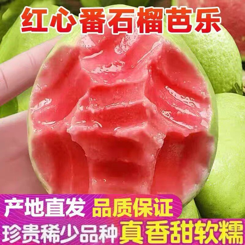 �������ʺ��˫ƴ����Ӧ���ȴ�ˮ����ʯ����Ŵ������̲��ר�� 39.9Ԫ