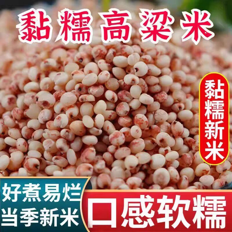 东北红黏糯高粱米500g食用酿酒脱皮红高粱米粗粮五谷杂粮粘高粱米