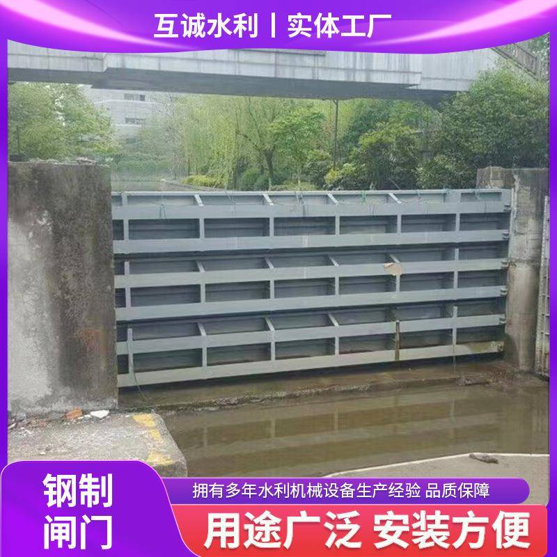 钢制闸门厂家水电水利工程止水污水处理电动碳钢水库电站闸门
