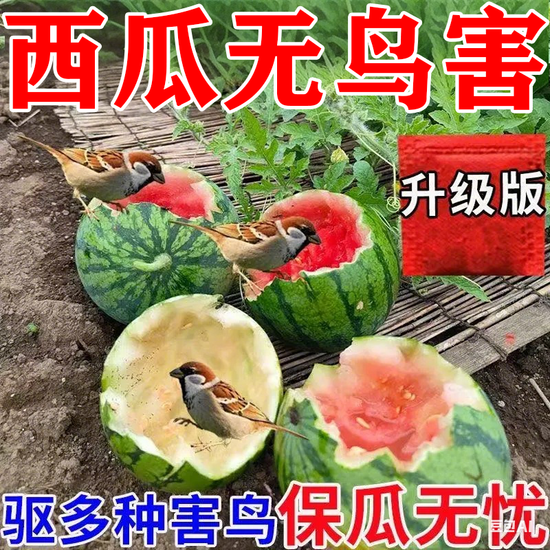 2025年新款驱鸟神器驱鸟高效药