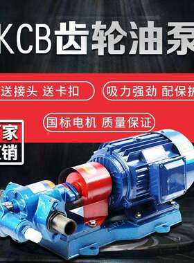 齿轮油泵K2CB齿XAQ轮泵整压机单相20V机泵油液压泵三相80V高自吸