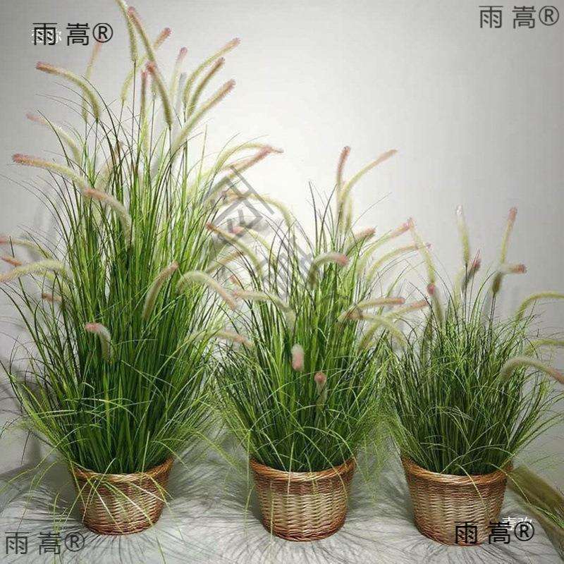 狗尾花芦尾苇假花绿植IQA毛毛巴虫猫假箱装饰造景观