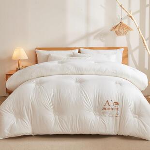 澳洲口羊毛被单类羊毛被A子冬季加厚保进暖棉被双人春秋羊绒ZLM被