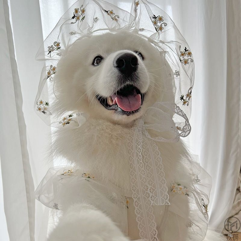 宠物婚礼婚纱连衣裙纱裙夏季薄款金毛边牧萨摩耶哈士X奇大型犬衣